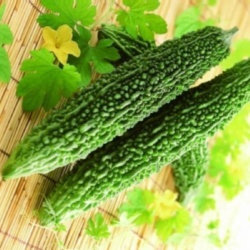 Bitter Gourd F1 Swastik Seeds - omaxe seeds