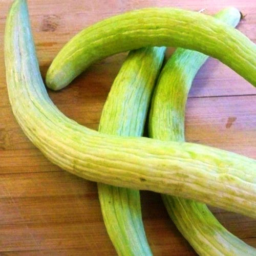 Long Melon Kakri Seeds - omaxe seeds