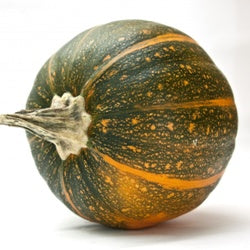 Omaxe Pumpkin F1 Hybrid Bheema