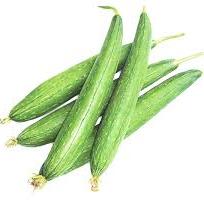 Sponge Gourd F1 White Long  seeds - omaxe seeds