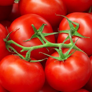 Tomato F1 Hybrid Sachriya Seeds (50 Seeds) - omaxe seeds