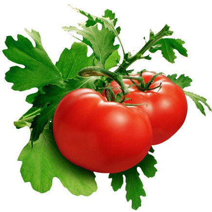 Tomato F1 Hybrid Suhyana seeds - omaxe seeds