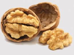 Juglans Regia, Walnut, Akhrot Seeds