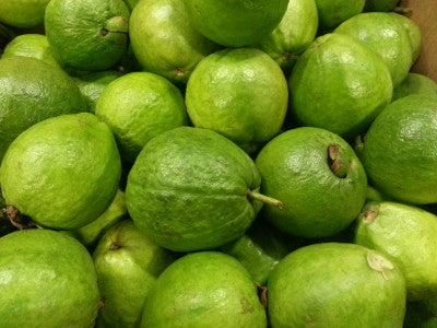 Psidium Guajava Seeds (1kg)