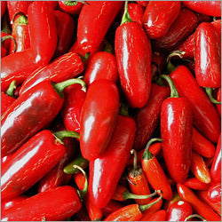 Omaxe Hot Pepper Red Sampurna seeds (50 Seeds)