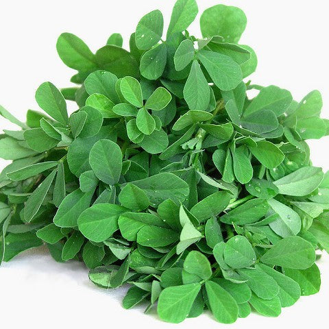 Sunrise Methi Hybrid Seeds - Fenugreek 10gm