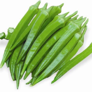 Okra F1 Hybrid No.3 seeds (10 gm) - omaxe seeds