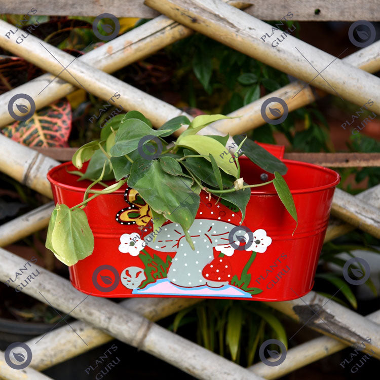 Railing Mushroom Planter Red