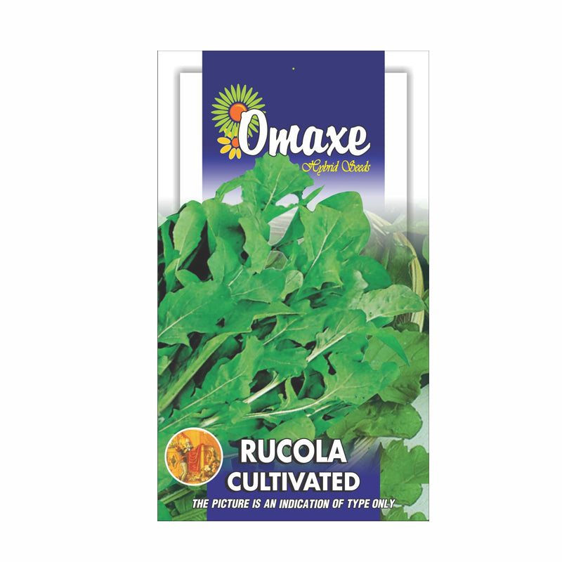 Omaxe Rucola Leaves - Cultivated Seeds (40 Seeds)