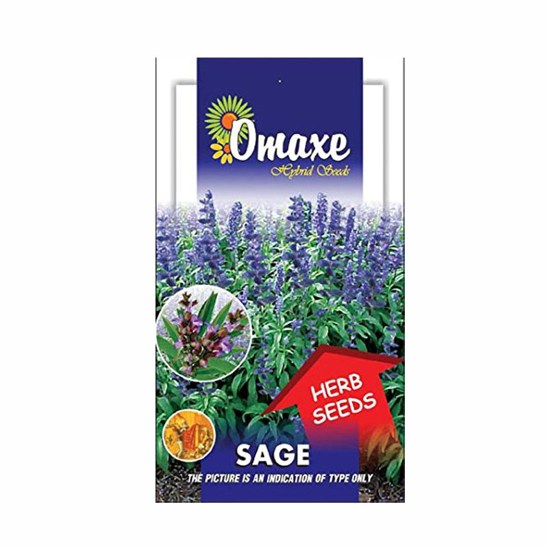 Sage Herb Seed (30 seeds) - omaxe seeds