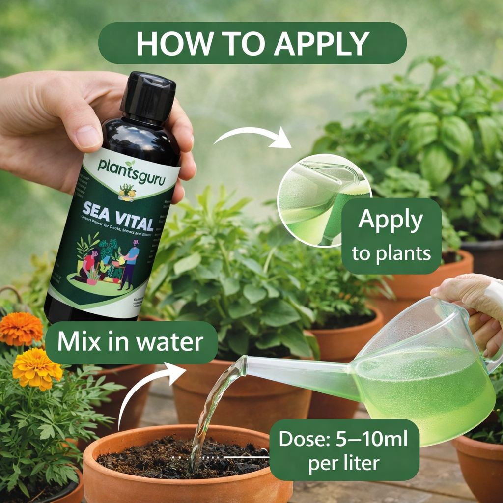 Sea Vital 100ML | 100% Organic Seaweed Extract Liquid Fertilizer for All Plants