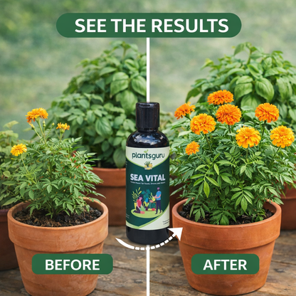 Sea Vital 100ML | 100% Organic Seaweed Extract Liquid Fertilizer for All Plants