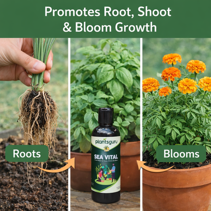 Sea Vital 100ML | 100% Organic Seaweed Extract Liquid Fertilizer for All Plants