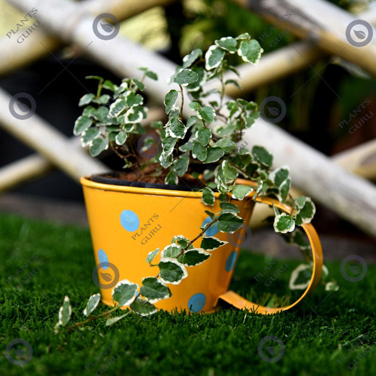 Cup metal planter yellow small