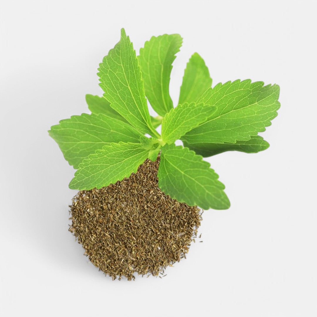 Stevia Seed (30 seeds) - Sunrise