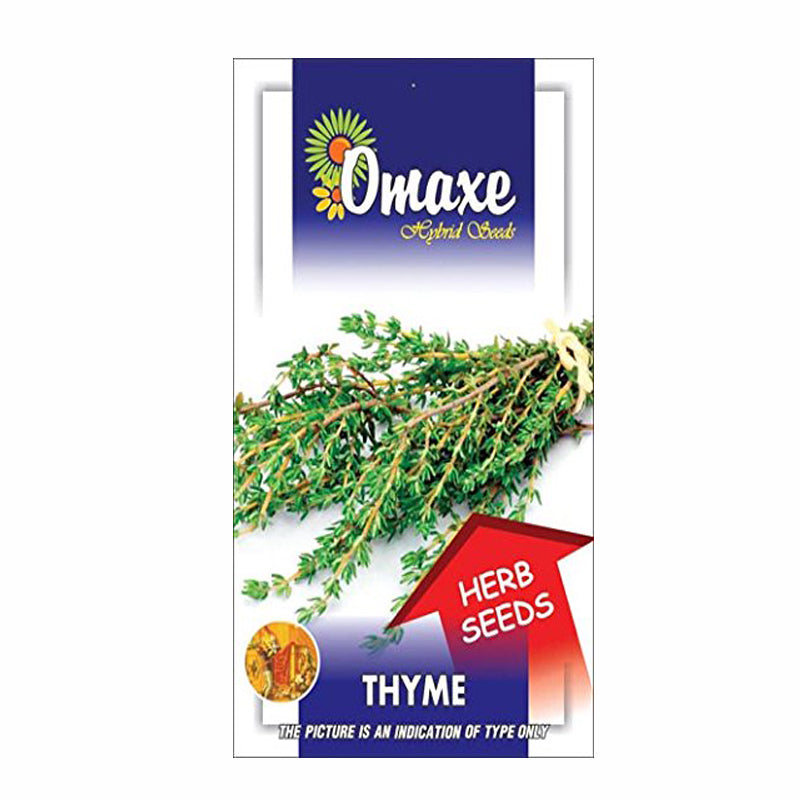 Thyme Seeds (30-40 Seeds) - omaxe seeds