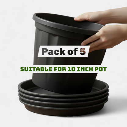 Round Bottom Tray | Pack of 5 | Base Plate/Tray/Saucer | Heavy Duty Highly Durable Plastic Plant Saucer