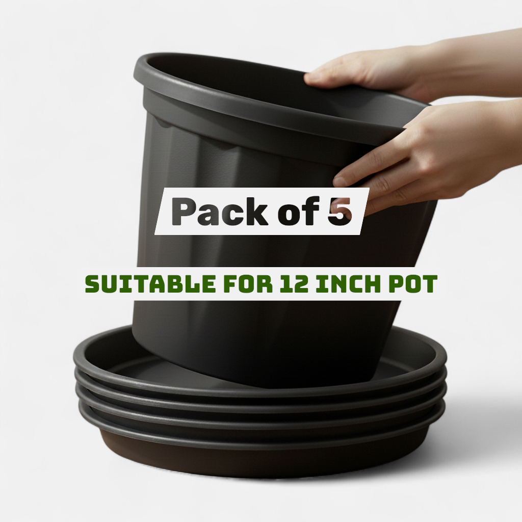 Round Bottom Tray | Pack of 5 | Base Plate/Tray/Saucer | Heavy Duty Highly Durable Plastic Plant Saucer