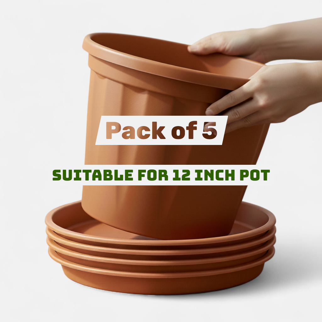Round Bottom Tray | Pack of 5 | Base Plate/Tray/Saucer | Heavy Duty Highly Durable Plastic Plant Saucer