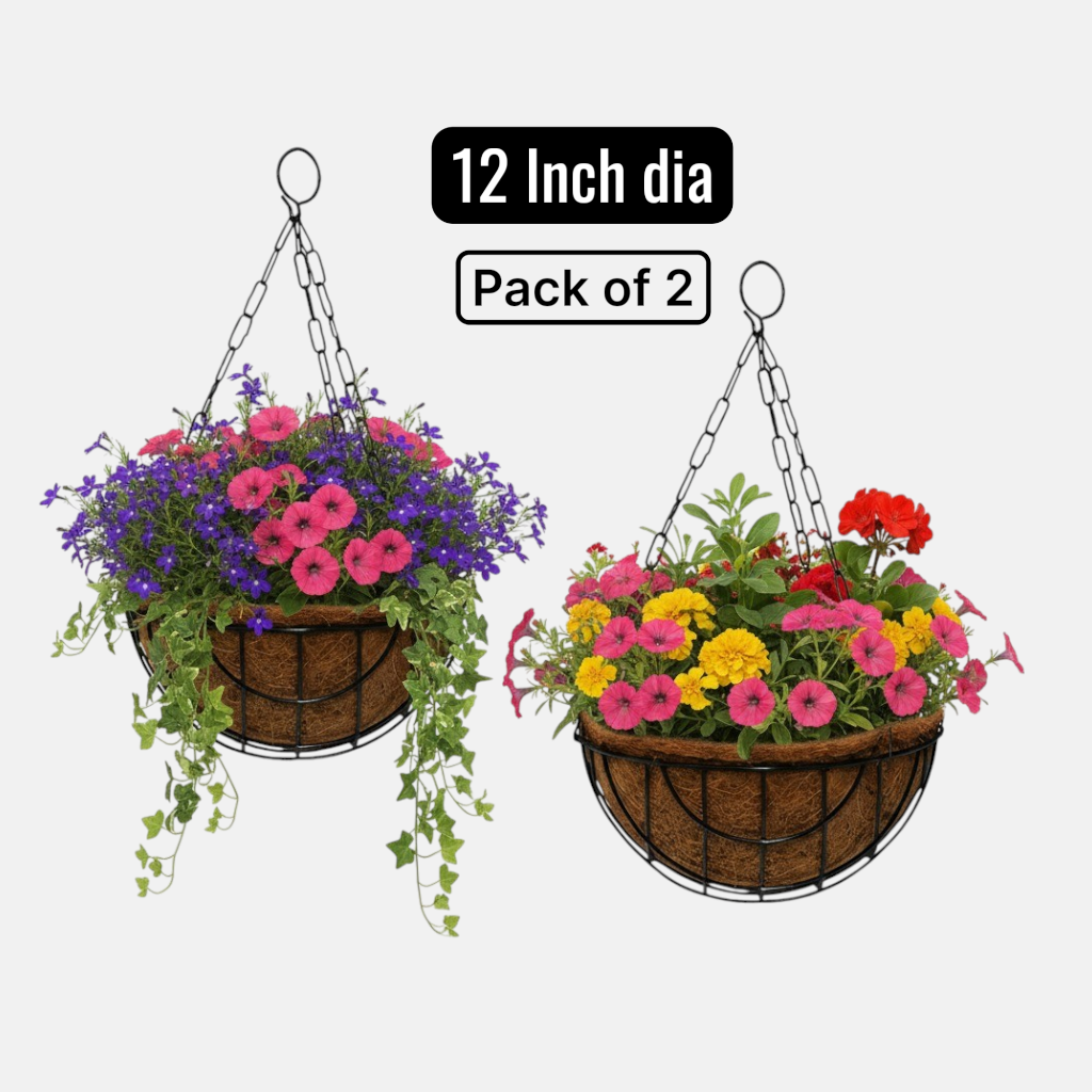 Coir Hanging Basket with Metal Frame &amp; Chain Set