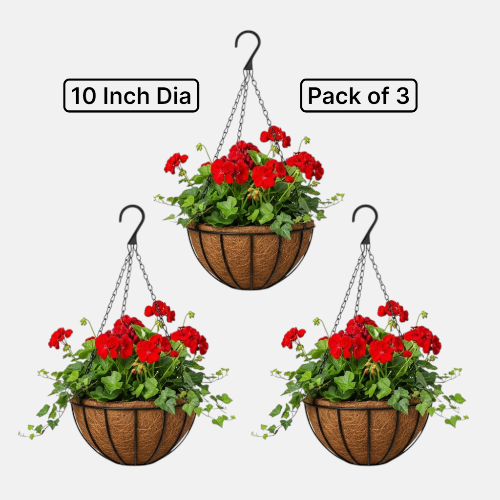 Coir Hanging Basket with Metal Frame & Chain Set