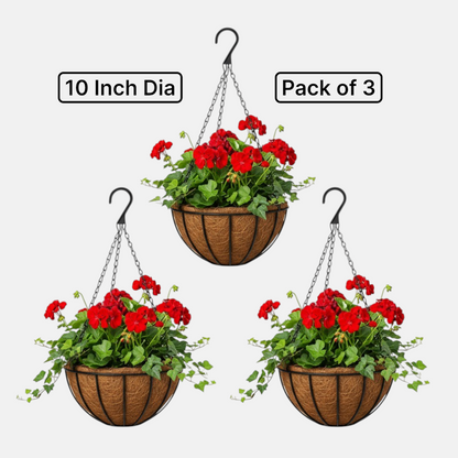 Coir Hanging Basket with Metal Frame &amp; Chain Set