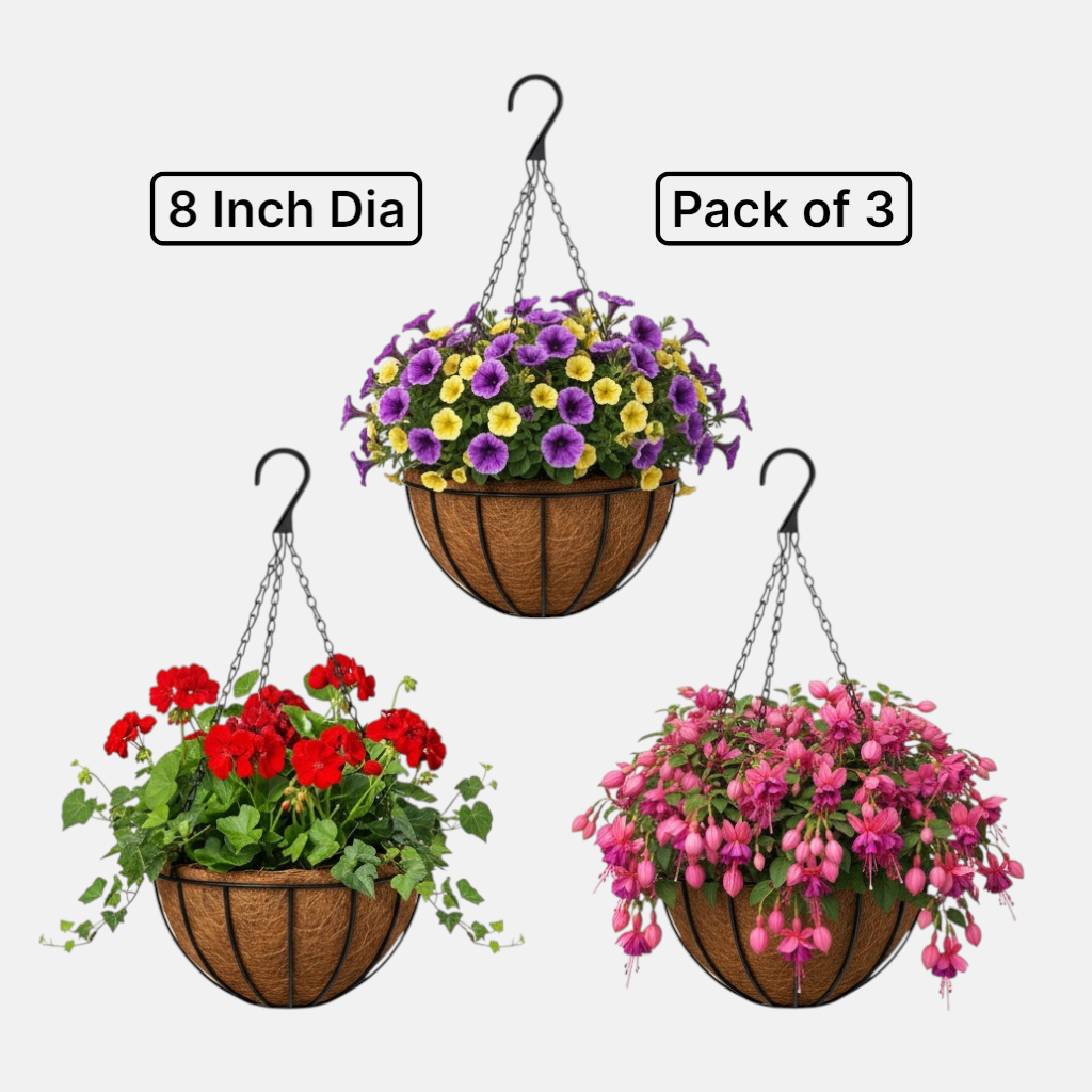 Coir Hanging Basket with Metal Frame & Chain Set