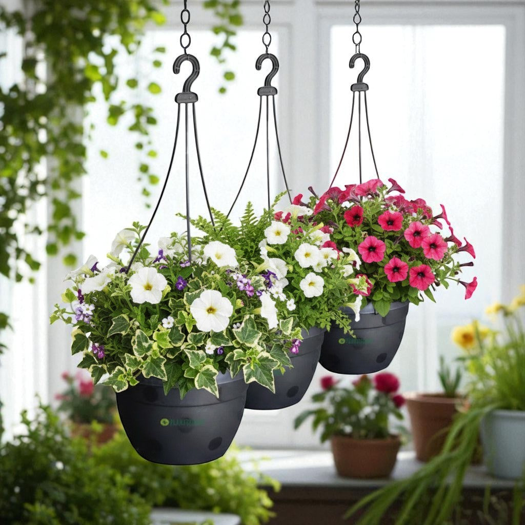 3 hanging plants Buy Hanging Basket Black (Pack of 3) online at best price