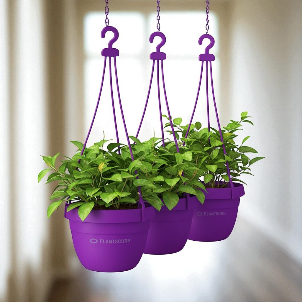 Blossom Hanging Basket Violet (Pack of 3)